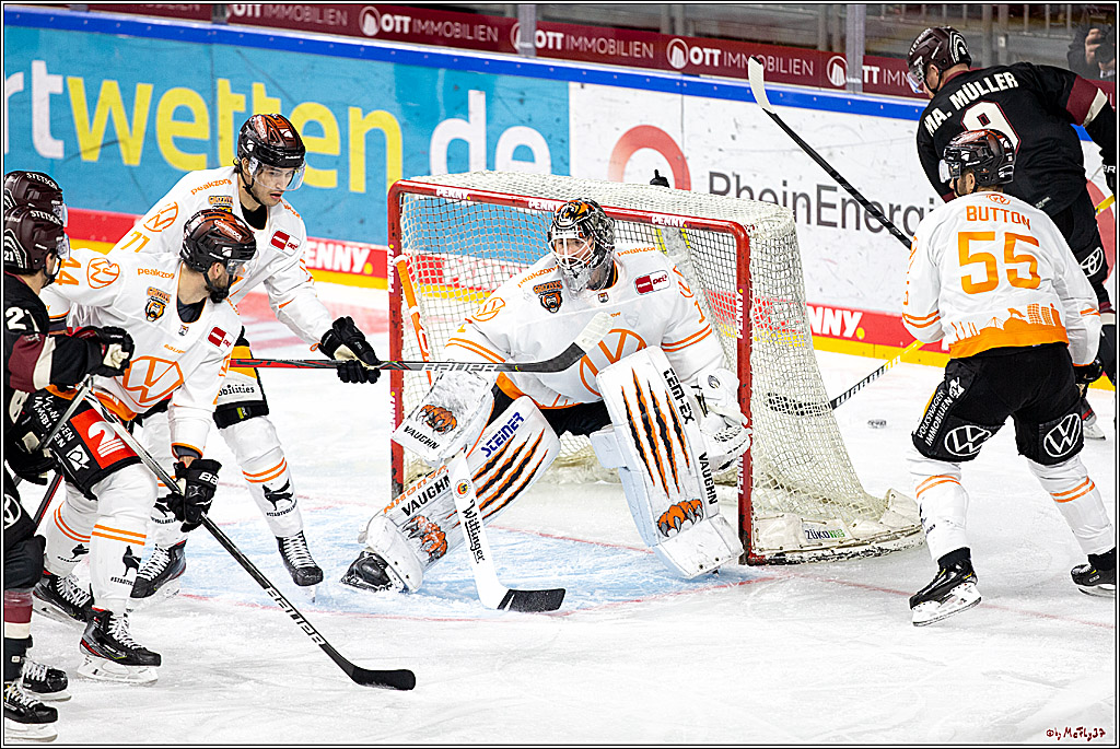 PENNY DEL;  Koelner Haie - Grizzlys Wolfsburg; Koeln, 29.01.2021